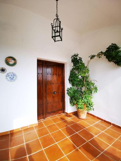 Villa Paraiso إيثيخا المظهر الخارجي الصورة